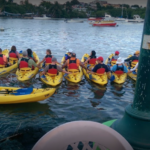 Bio Island Bay kayaks
