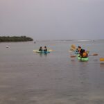 Yokahu Kayak Trips