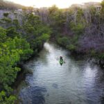 Yokahu Kayak Trips